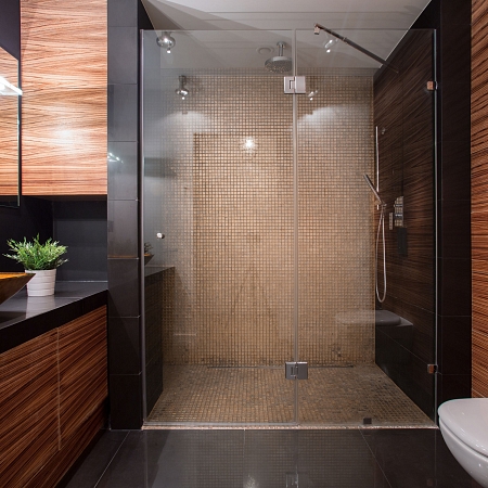 Modern Bathroom Remodel and Renovation Concord Services